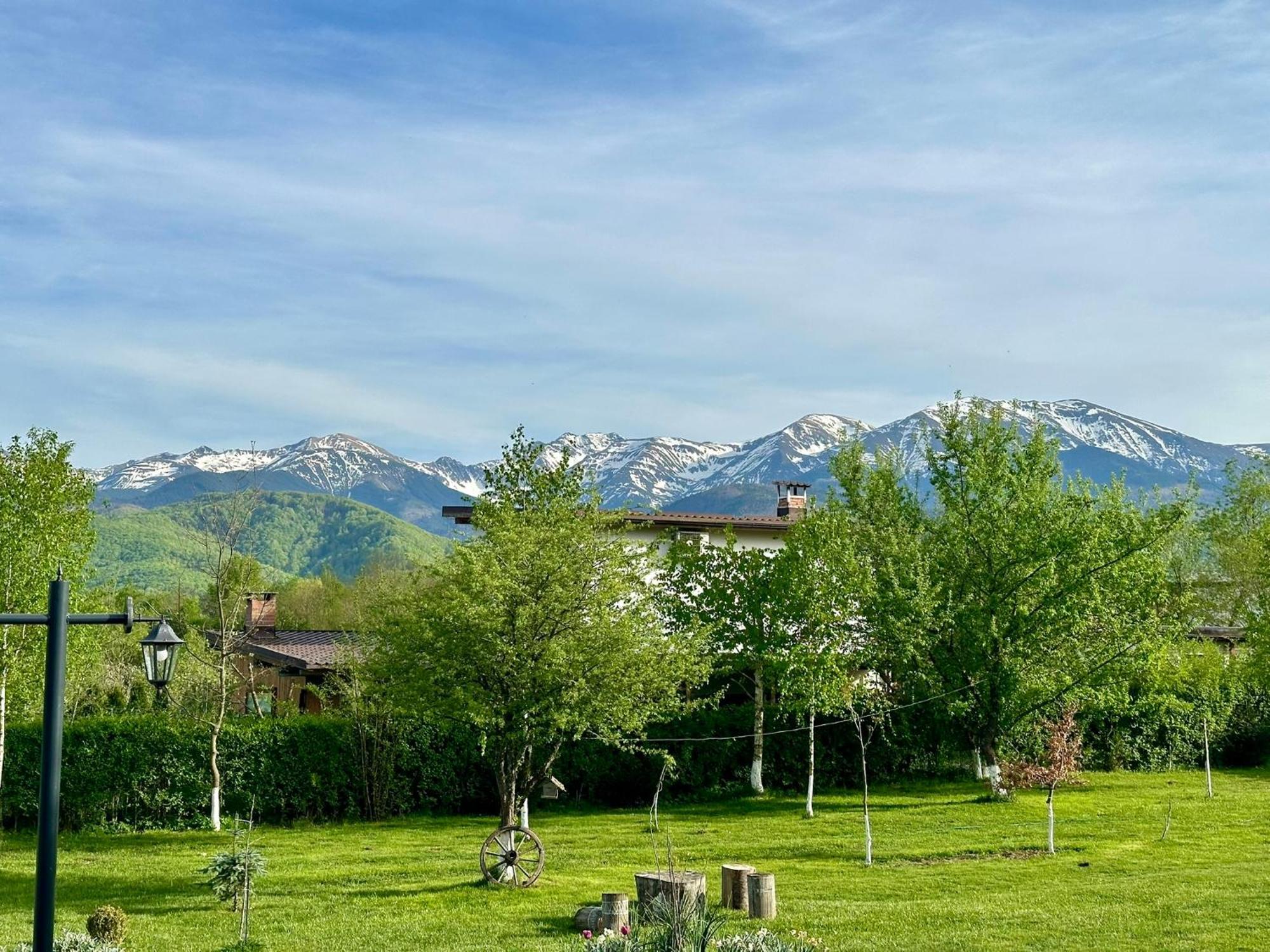 Epic House Valea Avrigului Villa Luaran gambar